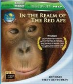 Discovery: Дикая Азия: В царстве рыжей обезьяны (2001)