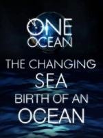 National Geographic : Один океан (2010)