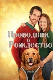 Проводник в Рождество (2023)