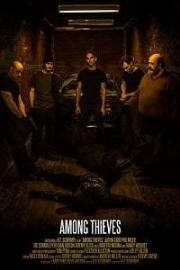 Среди грабителей (2019)