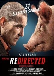 Занесло (2014)